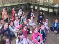 SOMBRAS CHINAS PARA ALUMNOS DE INFANTIL 1º Y 2º DE PRIMARIA